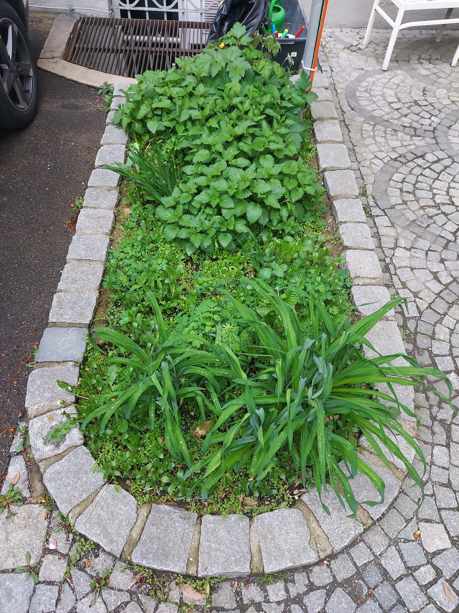 Blumenbeet1