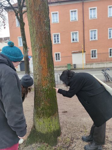 Fotografie der slow walks