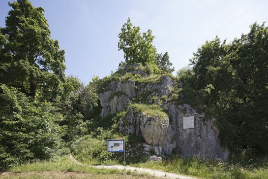 Das Biotop am Hoppefelsen zeigt, wie der Steig vor etwa 100 Jahren ausgesehen hat. © Bilddokumentation Stadt Regensburg