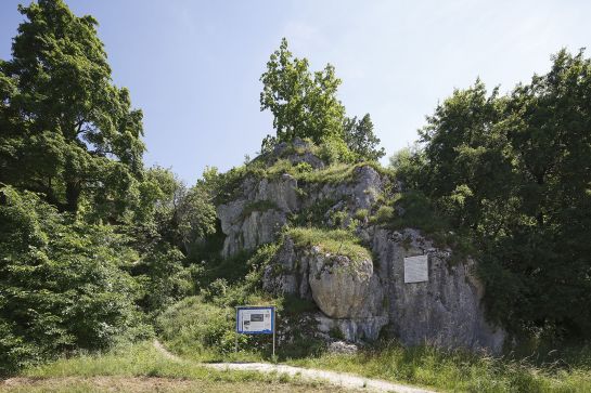 Das Biotop am Hoppefelsen zeigt, wie der Steig vor etwa 100 Jahren ausgesehen hat.