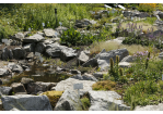 Fotografie - Steinlandschaft