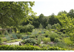 Fotografie - Blick in den Botanischen Garten