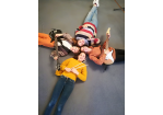 Alteglofsheim 2023 12 (C) FrVe
