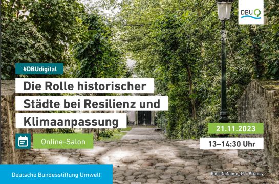 #DBUdigital Online-Salon: Die Rolle historischer Städte bei Resilienz und Klimaanpassung