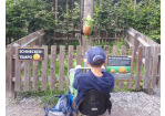 MGH_Kinderclub_Ausflug (C) MGH, Stadt Regensburg