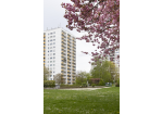 Fotografie: Ein Hochhaus neben einem blühenden Baum auf einer Wiese