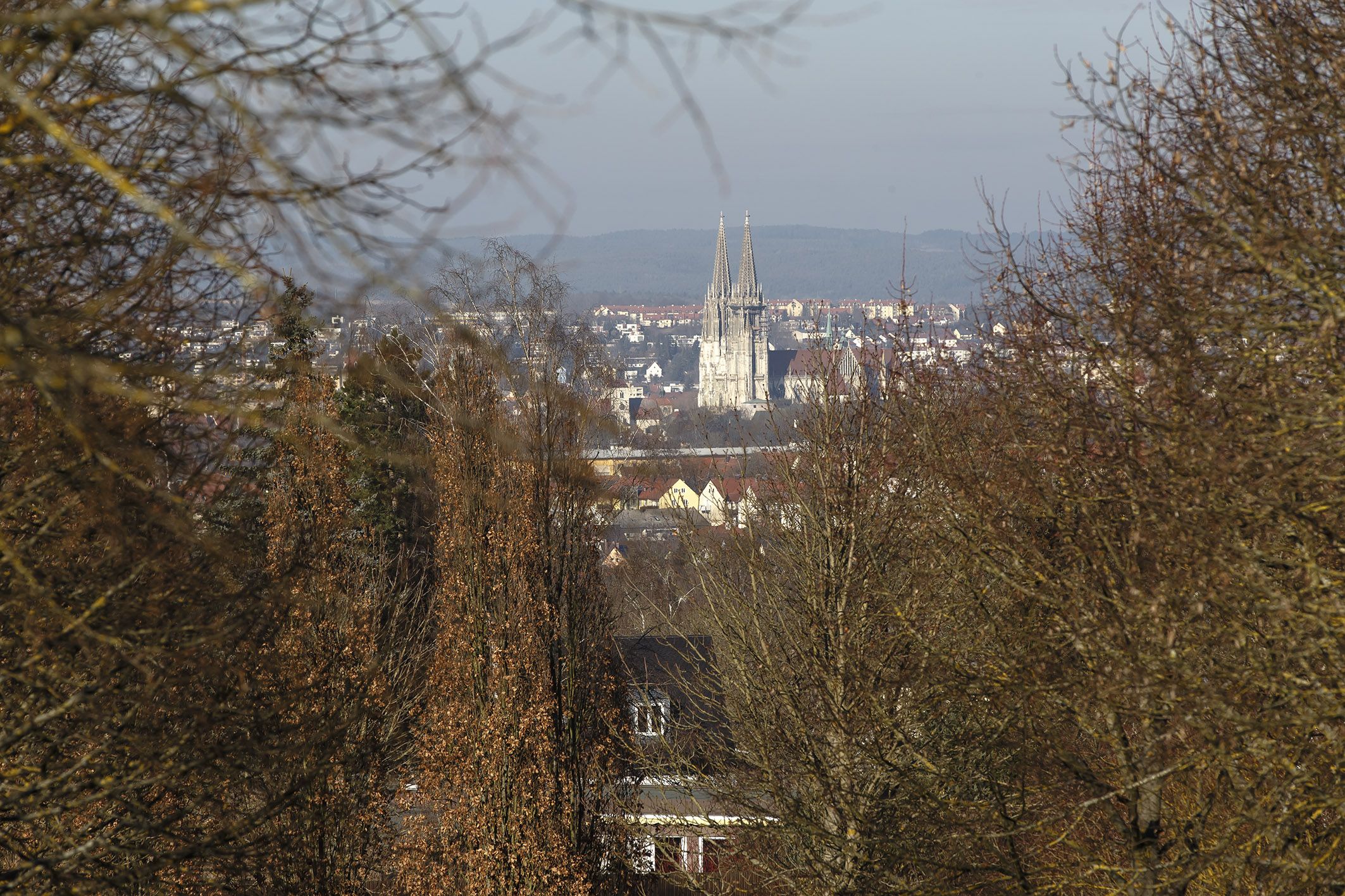 Fotografie: Blick auf den Regensburger Dom