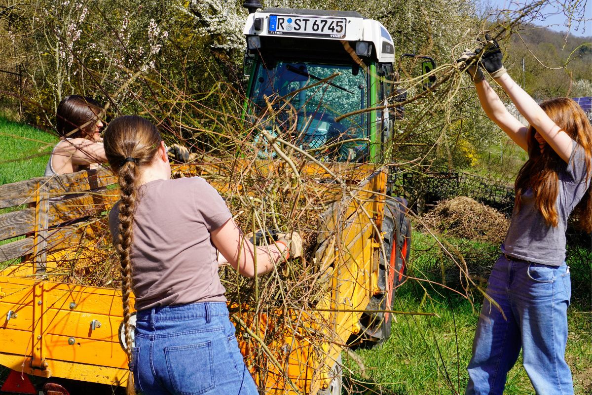 Fotografie - Drei jüngere weibliche Personen laden auf einer Grünfläche gemeinsam abgeschnittene Äste auf die Ladefläche eines Anhängers, der an einen Traktor gekoppelt ist