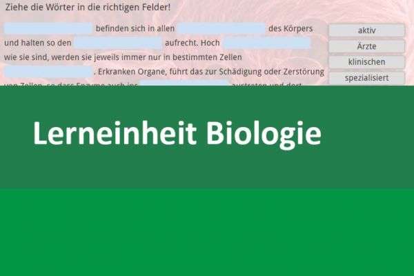 Vorschaubild Interaktives Arbeitsheft