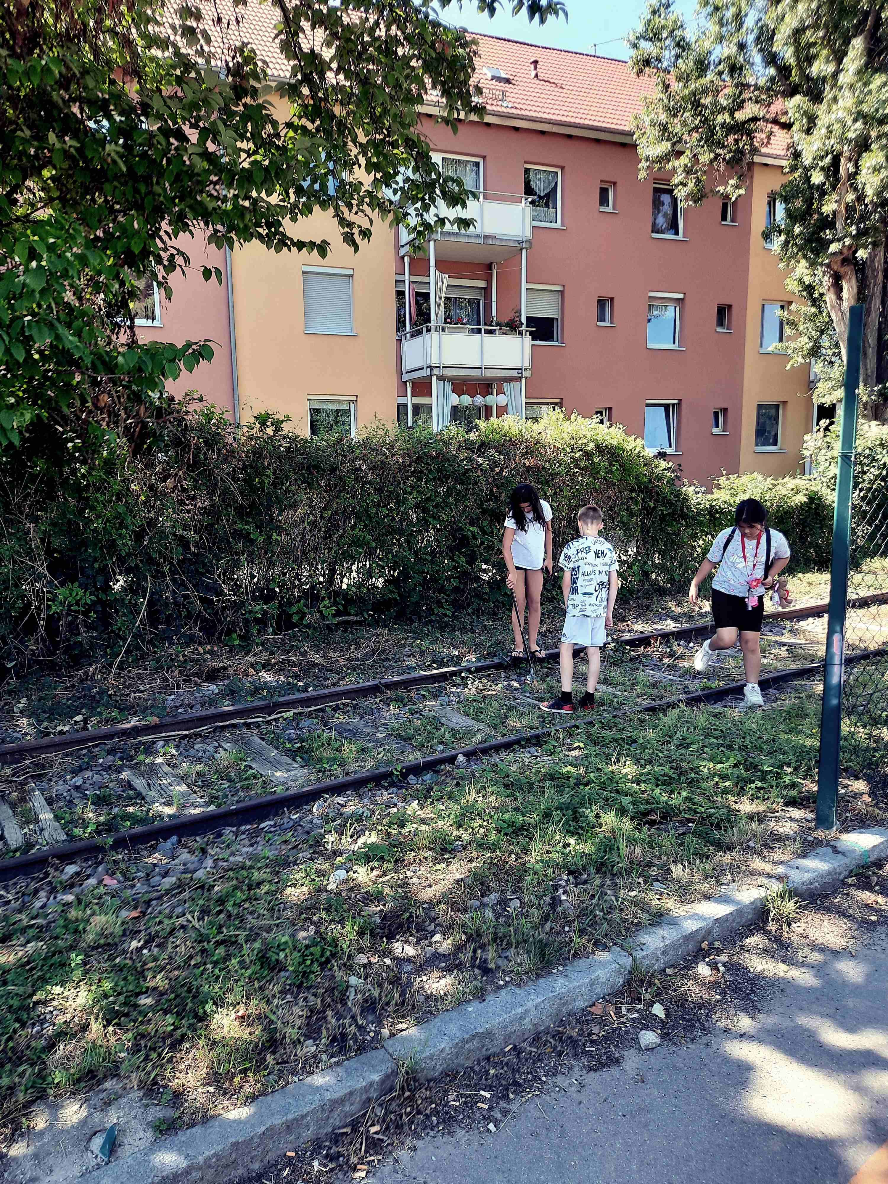 Auf dem Foto sind mehrere Personen zu sehen die Müll sammeln.