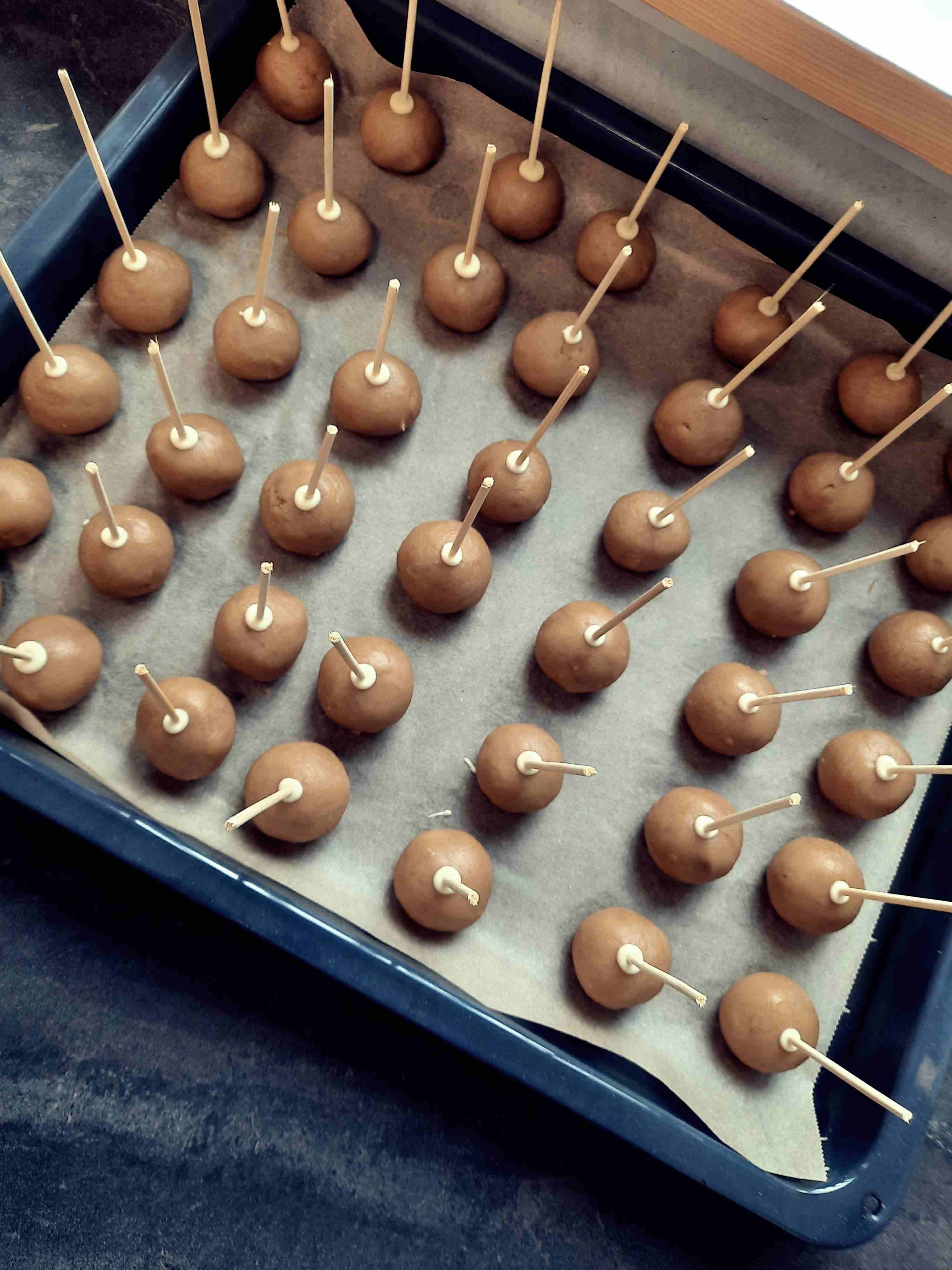 Auf dem Foto sind Cake Pops zu sehen.