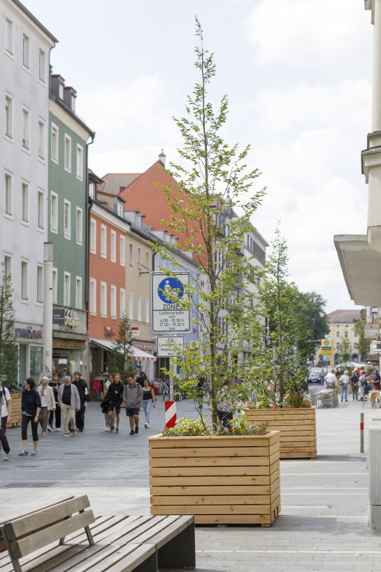 Fotografie: Mobile Bepflanzung in der Maximilianstraße