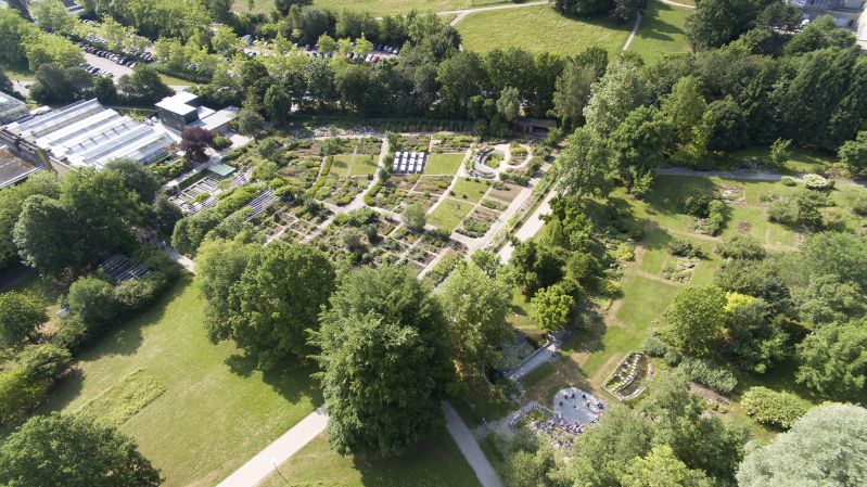 Stadt Regensburg SEHENSWERT Der Botanische Garten der Universität