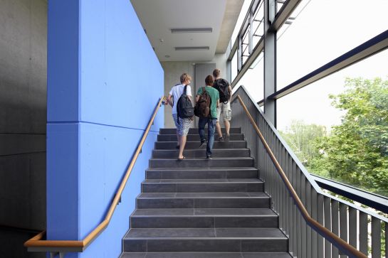Fotografie: Drei Schüler steigen eine Treppe im Von-Müller-Gymnasium hinauf.