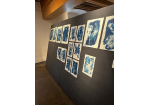 Vom_Fliegen_und_Stürzen_Vernissage5 (C) Stadt Regensburg - Welterbekoordination