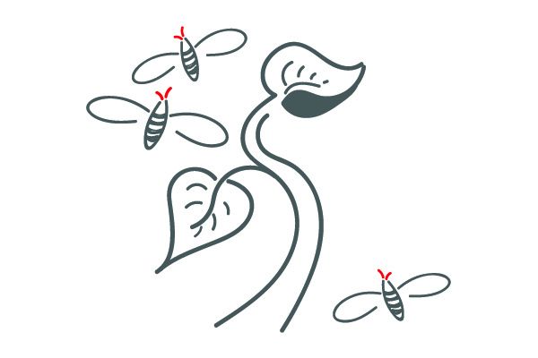 Grafik: Pflanze und Bienen
