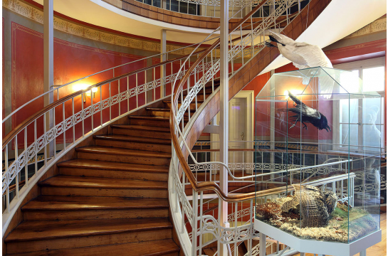 Naturkundemuseum Ostbayern