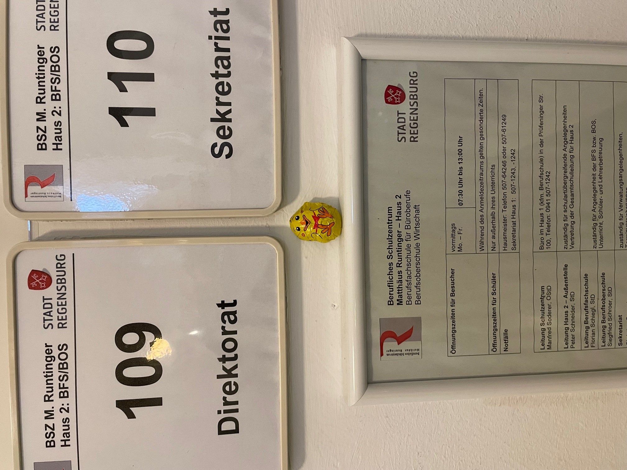 Osterhase6
