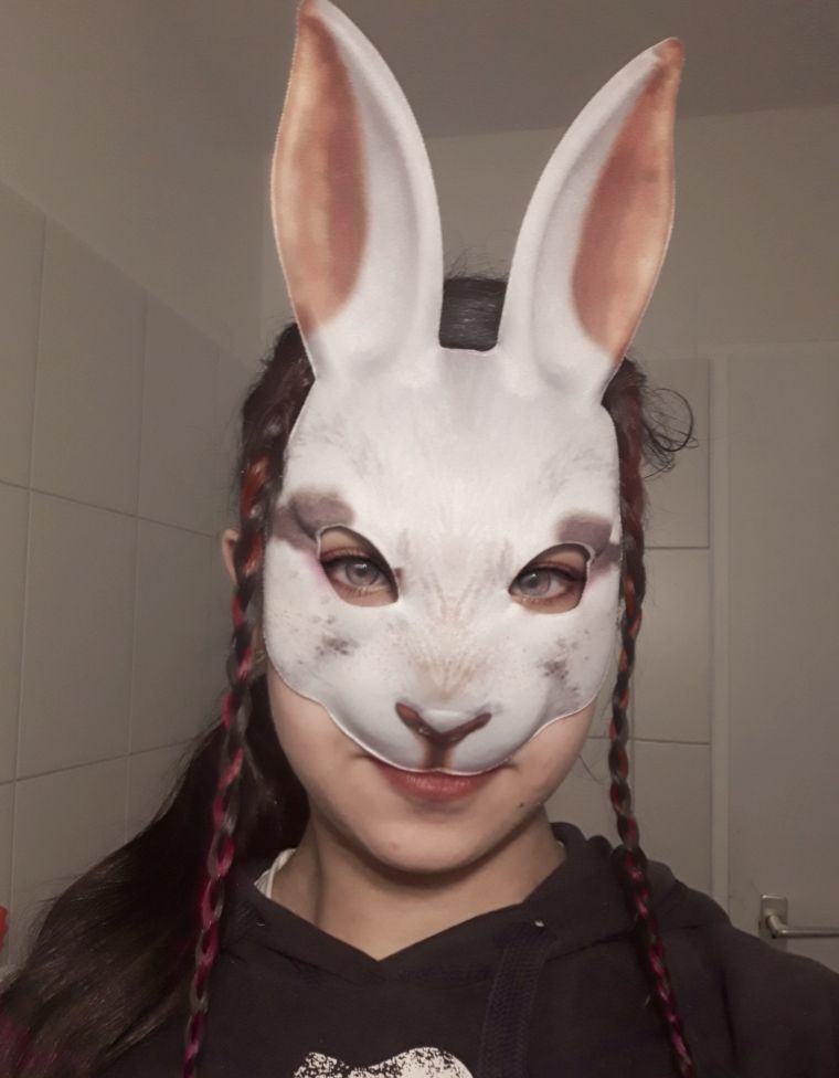 Fotografie – Schüler des VMG verkleidet beim Fasching daheim