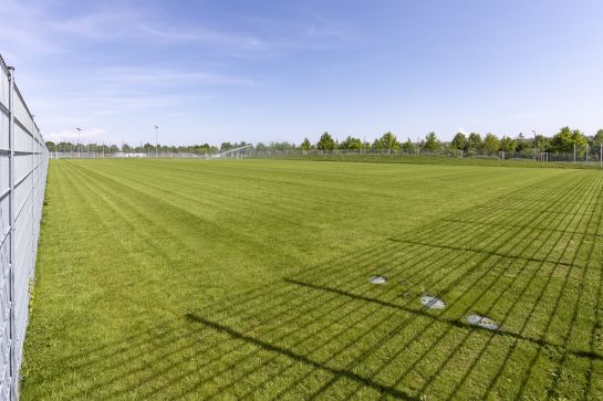 Fotografie: Sportplatz Burgweinting