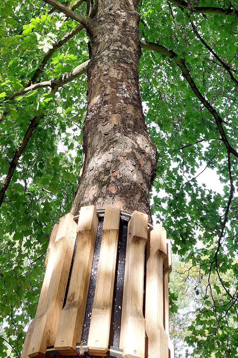 Baum mit Holzschutz in Slackline-Parks