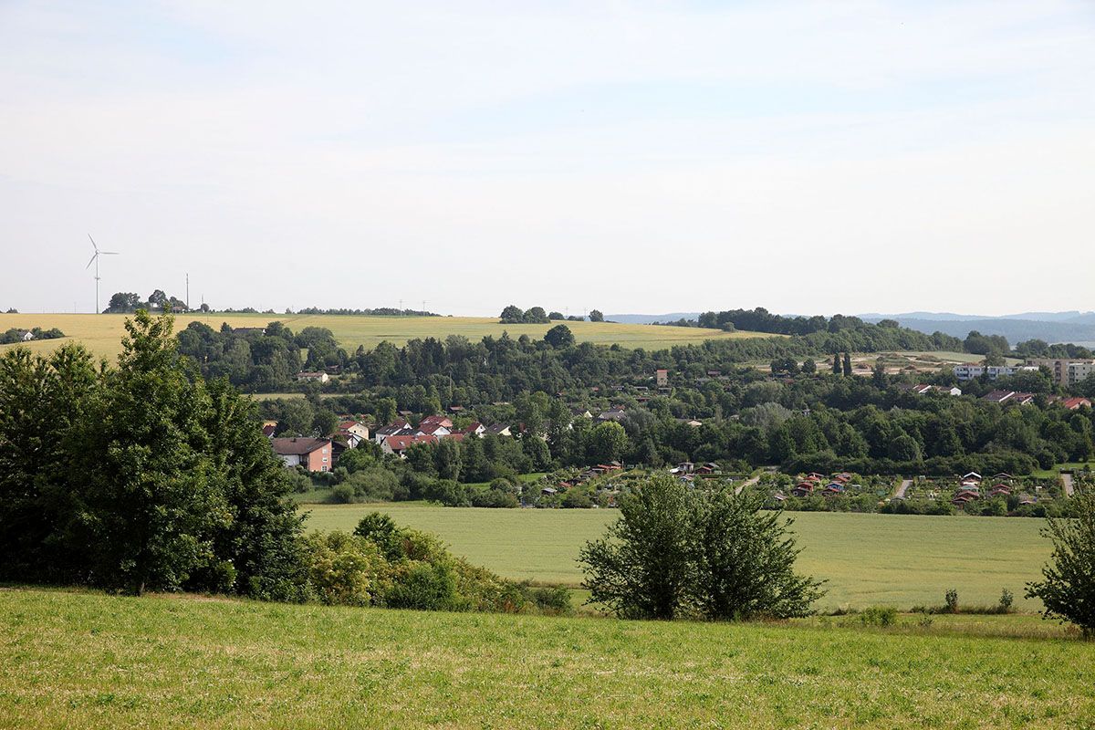 Fotografie - Blick über grüne Felder und Bäume 
