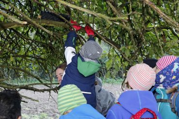 Naturschutzgebiet Brandlberg - Schulklassen befestigen Maustuben