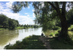 Fotografie - Mann sitzt auf Wiese, Donau fließt vorbei