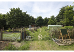 Fotografie - Gemeinschaftsgarten Transition © Bilddokumentation Stadt Regensburg