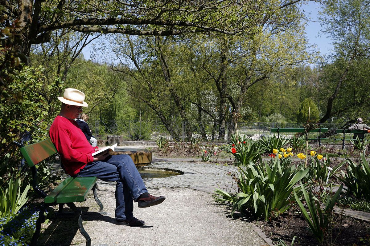 Fotografie - Mann lesend auf einer Bank im Park