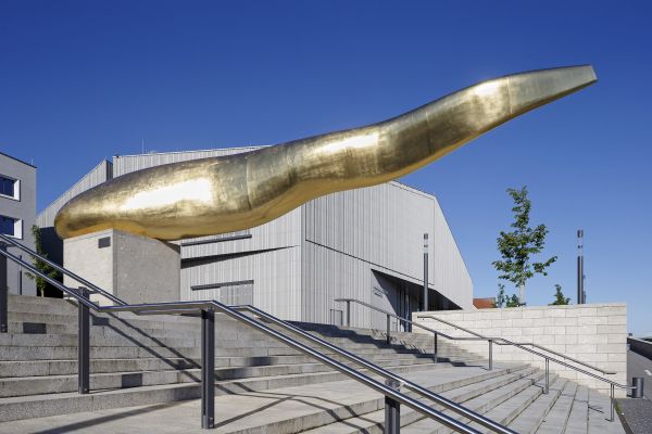 Goldener Waller (c) Stadt Regensburg, Effenhauser