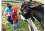 MGH_Kinderclub_Ausflug (C) MGH, Stadt Regensburg
