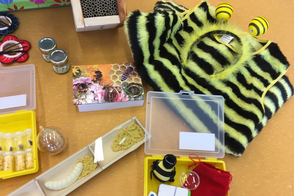 Vorschaubild Bienenkoffer