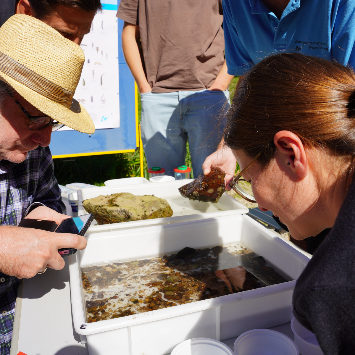 Teilnehmende des Workshops beugen sich über die Kleinstlebewesen, die in den Wasserproben zu finden sind.
