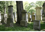 Fotografie - Grabsteine auf jüdischem Friedhof (C) Bilddokumentation Stadt Regensburg