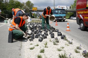 Neben der Straße blüht es auf - Begrünungsarbeiten