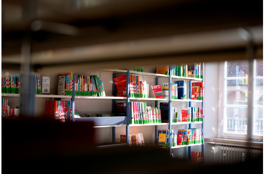 Foto mehrerer Regale mit Lernhilfen in einer Bücherei