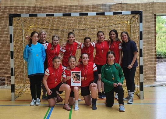 Handball Bezirksfinale Mädchen IV (C) LiSi
