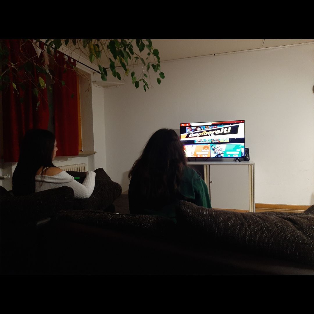 Rückblick Januar drittes Bild