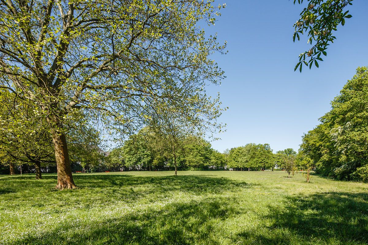 Fotografie - Wiese