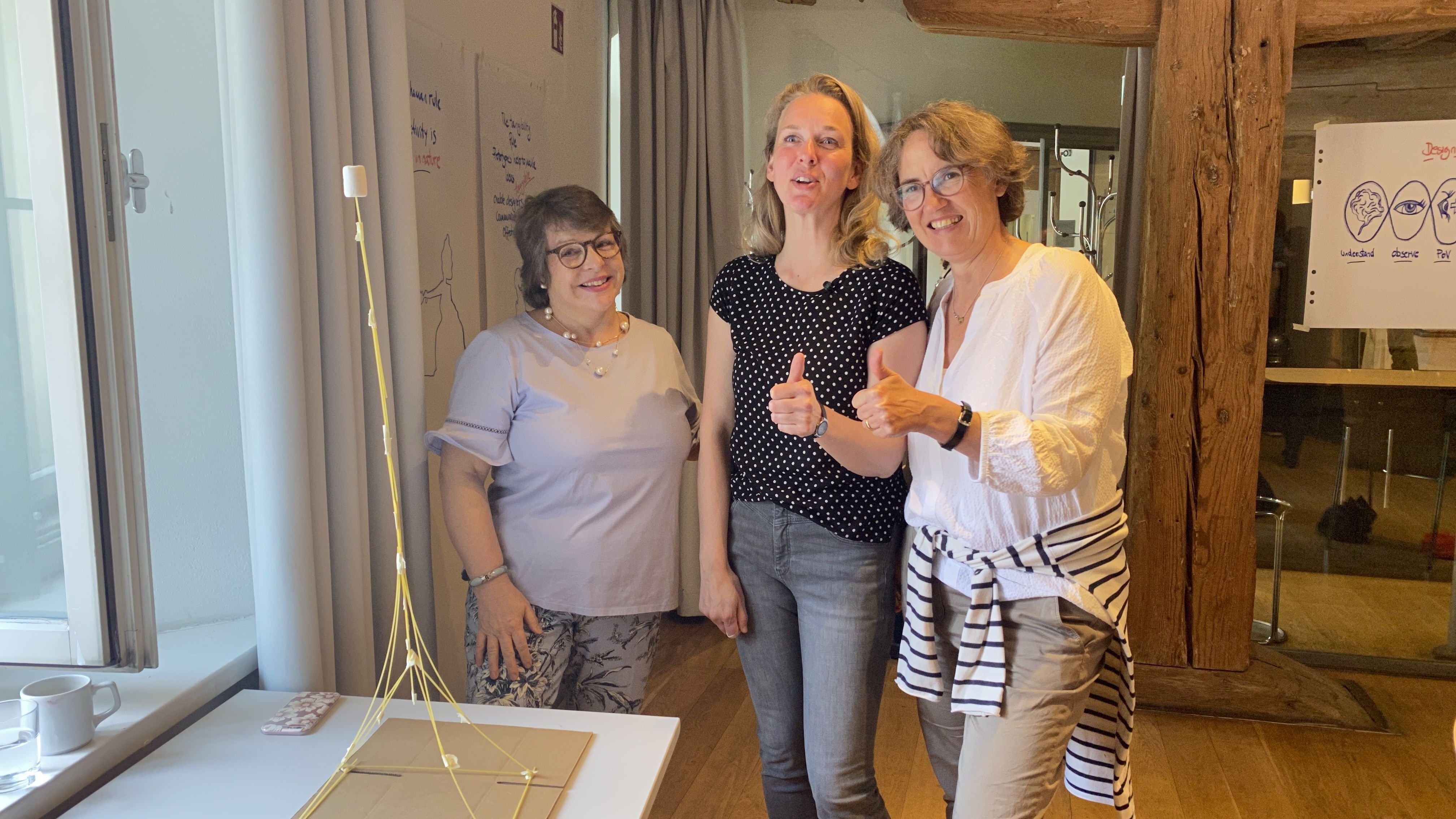 OWHC Training Course - successful_work_group