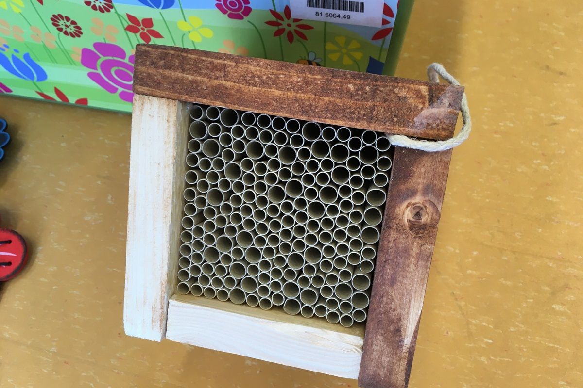 Vorschaubild Bienenkoffer