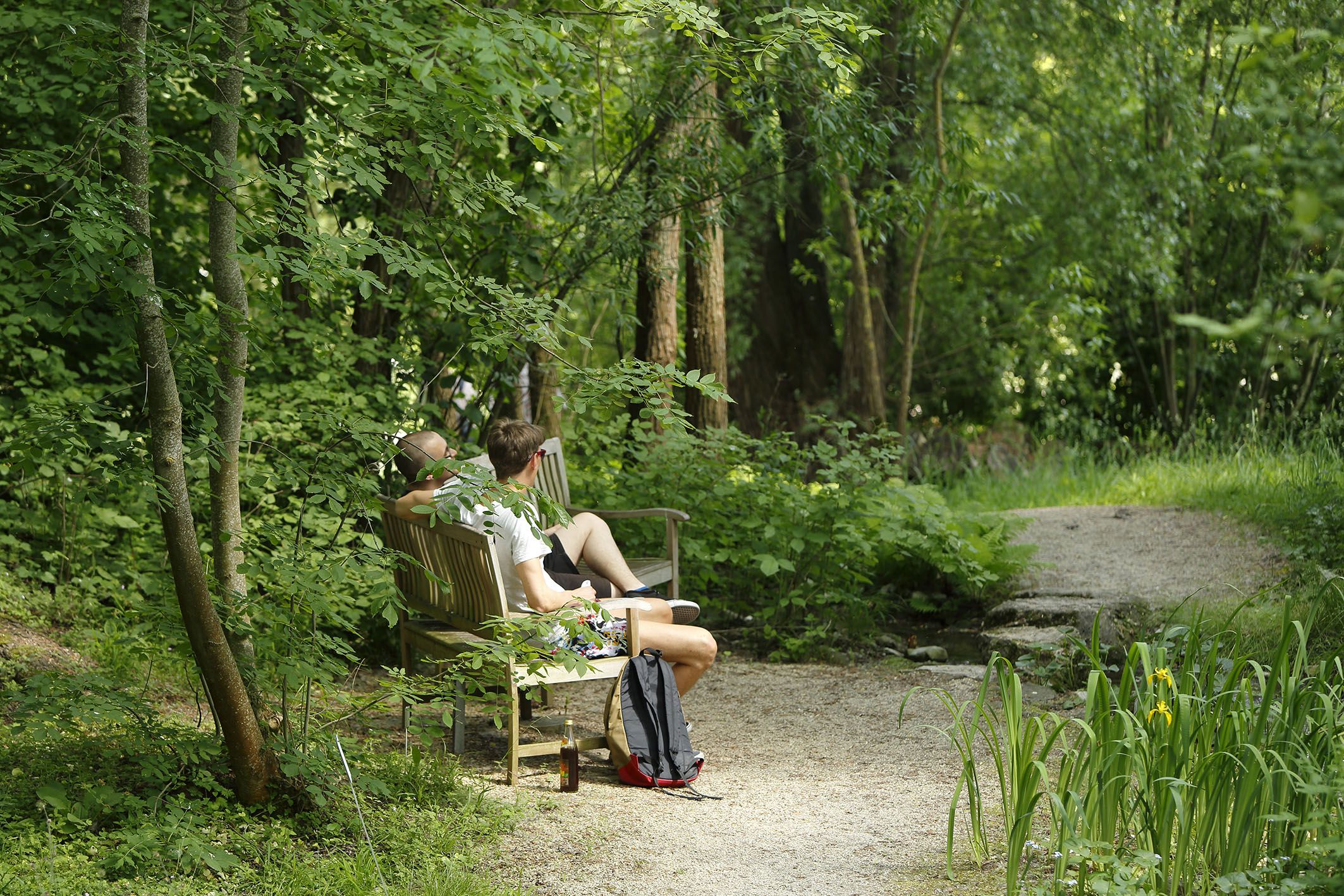 Fotografie: Zwei Personen sitzen auf einer Bank im Auwald.
