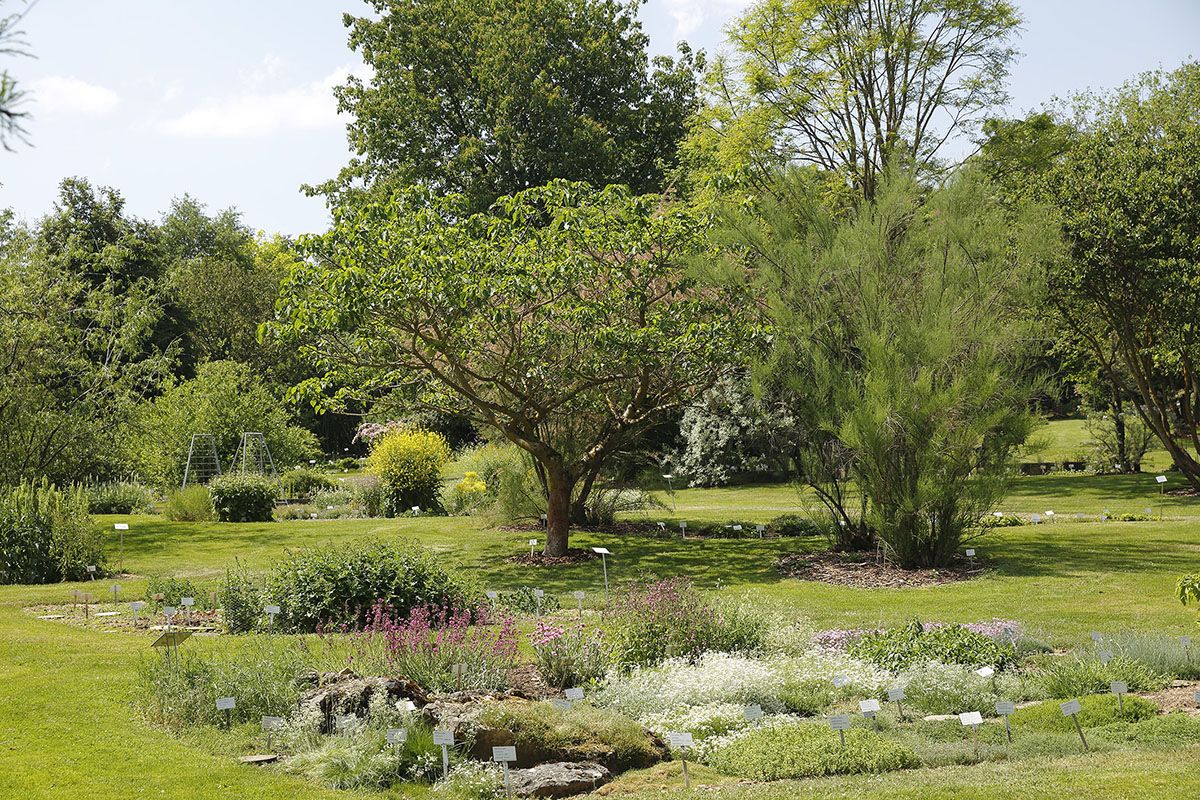 Fotografie - Blick in den Botanischen Garten