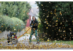 Fotografie: Tanzendes Laub