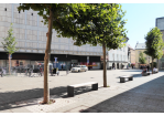 Fotografie - Sitzbänke und Bäume auf einem Platz (C) Stadtplanungsamt Stadt Regensburg