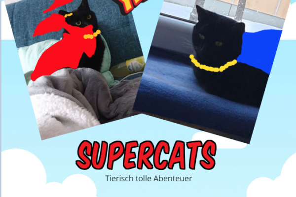 KKB 24. März Supercats