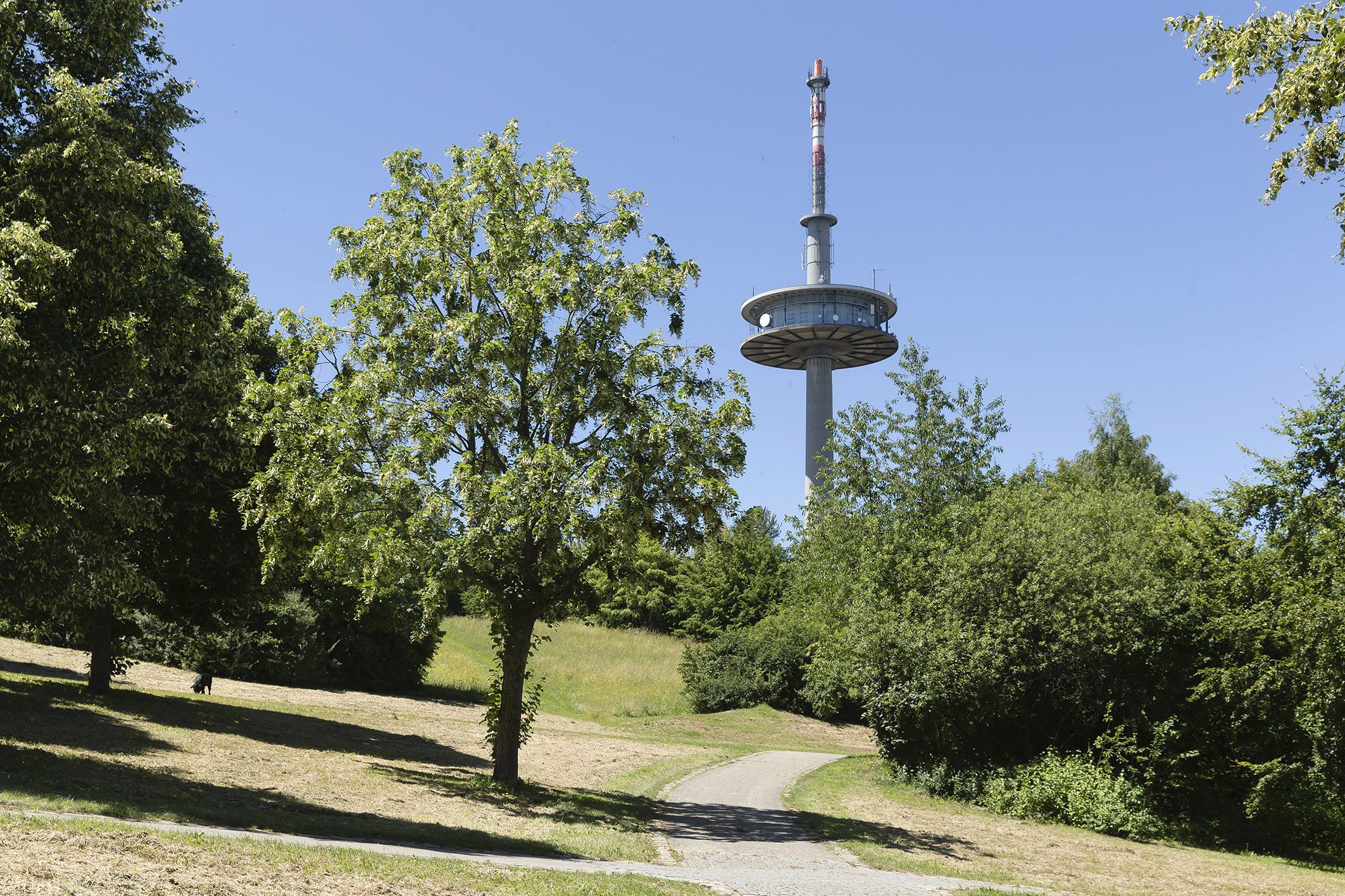 Fotografie: Fernsehturm