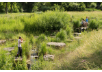 Fotografie - Bachlauf mit großen Stein-Findlingen