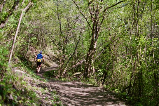 Jogger und Wanderer schätzen den Max-Schultze-Steig ganz besonders.